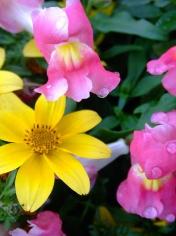 http://www.uranaiblog.net/user/5757/5757/0e8abe0a776e4c3d96a95517a8bf748e057fc3c5.jpg