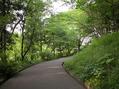 DSCN4281.jpg