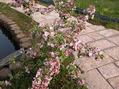 DSCN4284.jpg