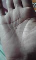 54250.jpg