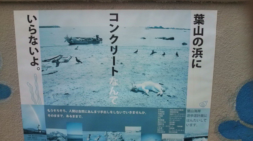 20090617125031.jpg