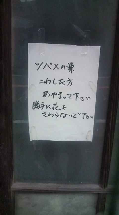 20090626112231.jpg