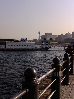 F1001912.jpg