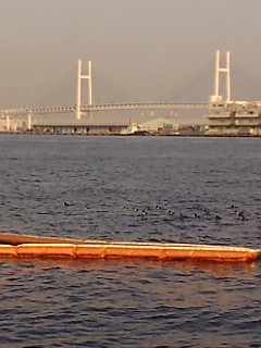 F1001920.jpg