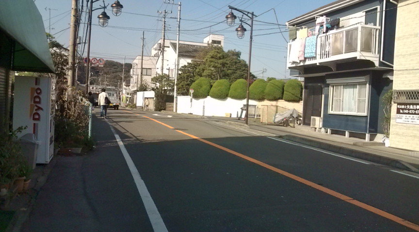 F1011059.jpg
