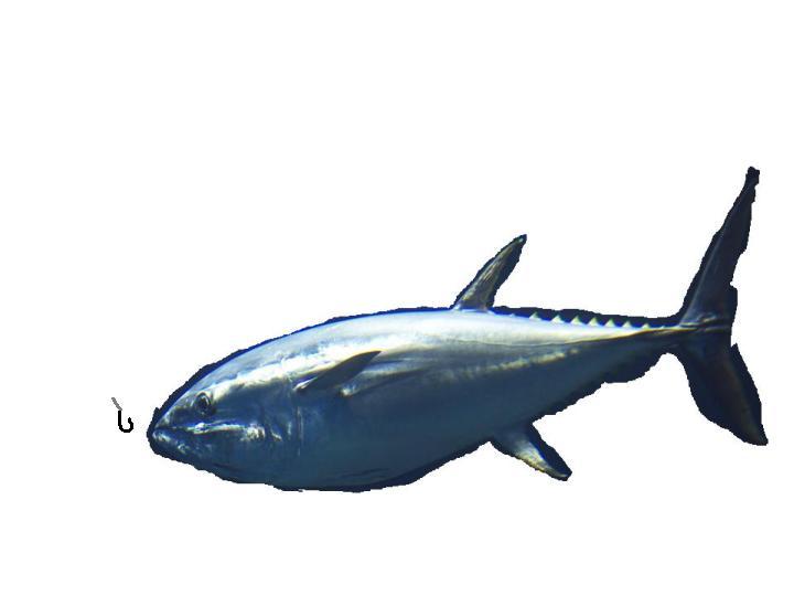 kobarioomono.jpg