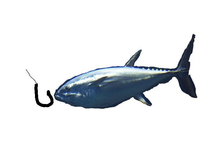 magurokouun.jpg