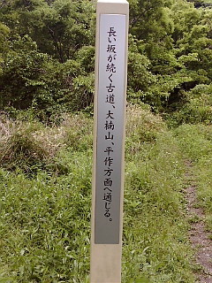 46319.jpg