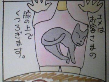 2-3.jpg