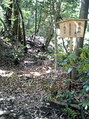 41536.jpg