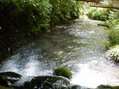 080709125501.jpg