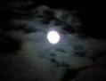 081012180901-1.jpg