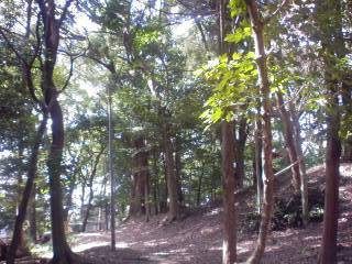 101016_1123_01.jpg