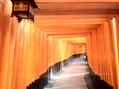 2012.1.10-8.jpg