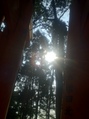 2012.1.10-9.jpg