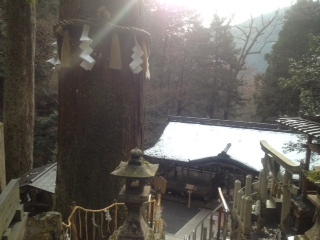 2012.1.15-9.jpg