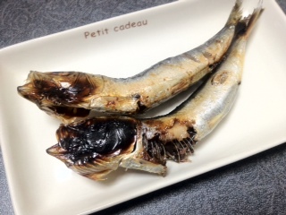 2012.2.3-4.jpg