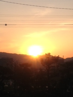2012.4.4-12.jpg