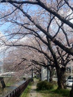 2012.4.7-5.jpg