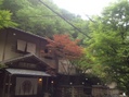 2012.6.28-13.jpg