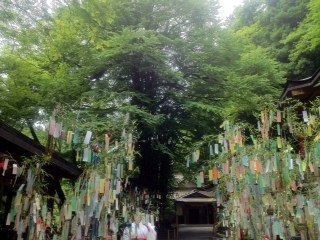 2012.6.28-8.jpg