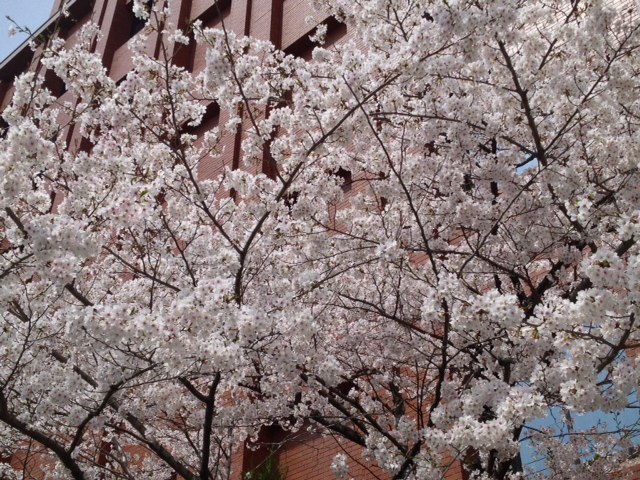 2013.4.1-2.jpg