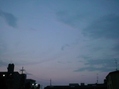 47184.jpg