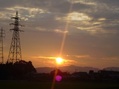 48703.jpg
