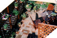 38879.jpg