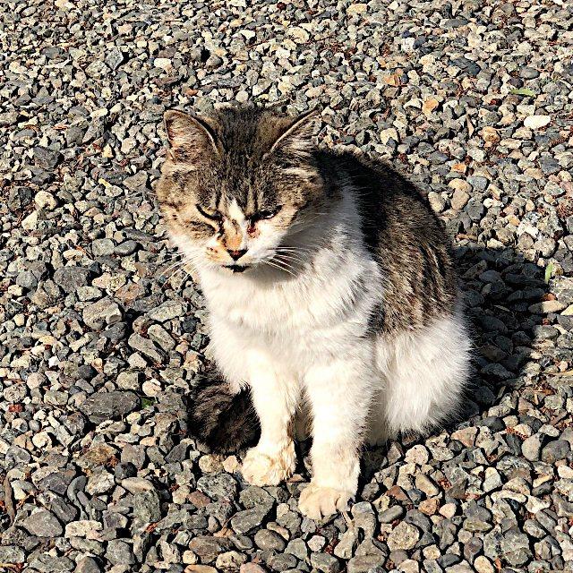 1651235714780 (1).jpg