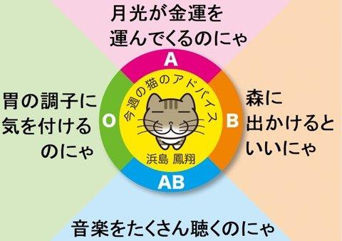 723C05BF-610E-4FA8-89B7-845652D86ABD.jpeg
