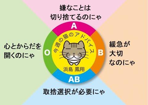 C4FCC3AF-B733-4FBE-B48F-A6B46DACE0B6.jpeg