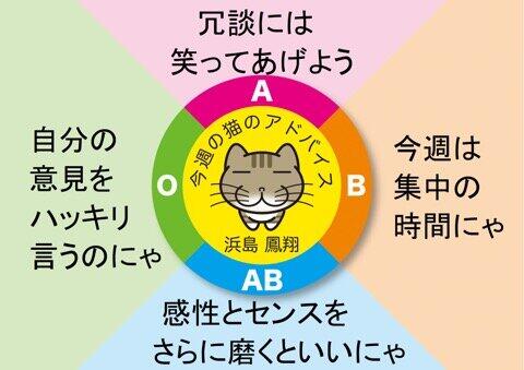C9940A09-F4CA-495C-9693-A0B5149F41A6.jpeg