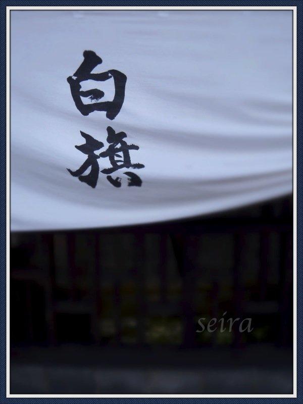 seira559.jpg