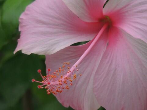 a0960_004931.jpg