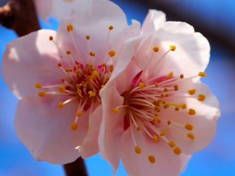 a0070_000101.jpg