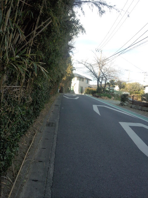 c55.jpg