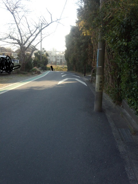 c5911.jpg