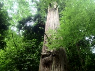 2012.7.3-3.jpg